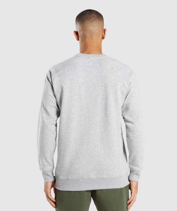 Panske Pulovre Gymshark Apollo Crew Svetlo Siva | NQ8721430